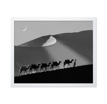 Desert Caravan Line