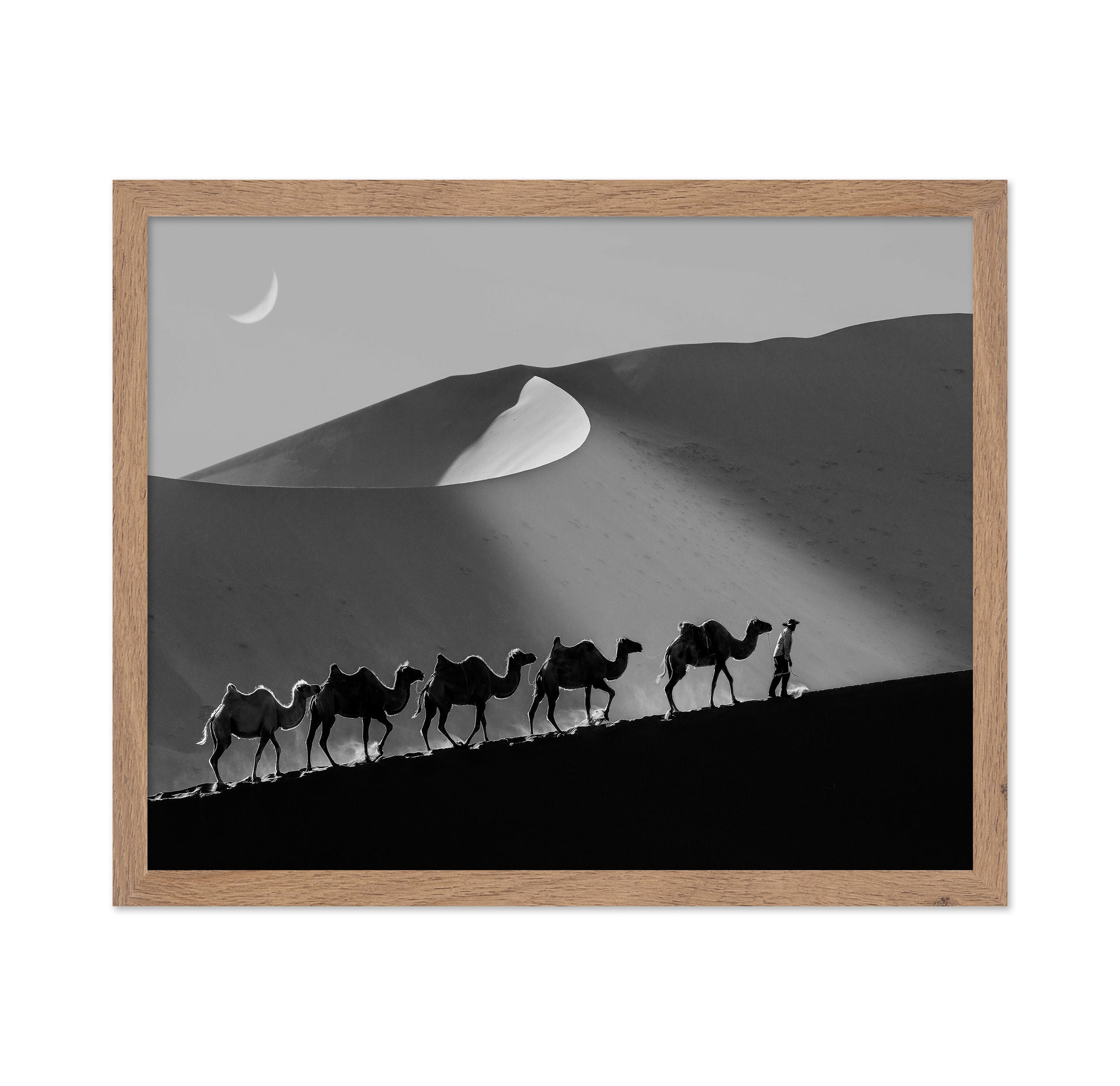 Desert Caravan Line