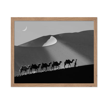 Desert Caravan Line