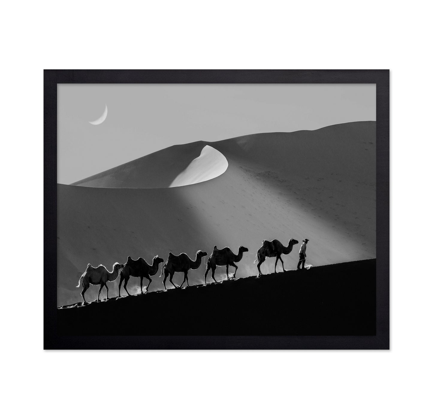 Desert Caravan Line