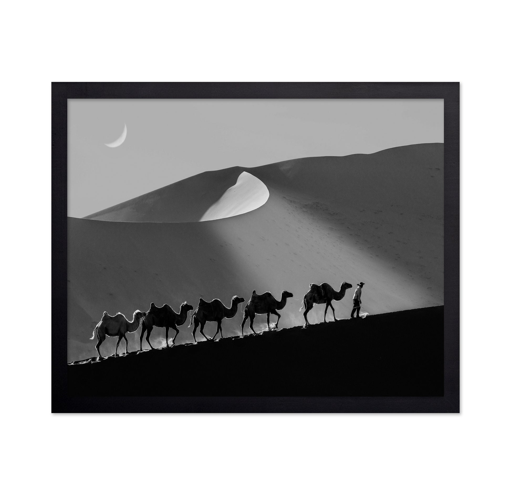 Desert Caravan Line