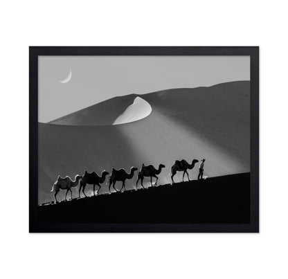 Desert Caravan Line