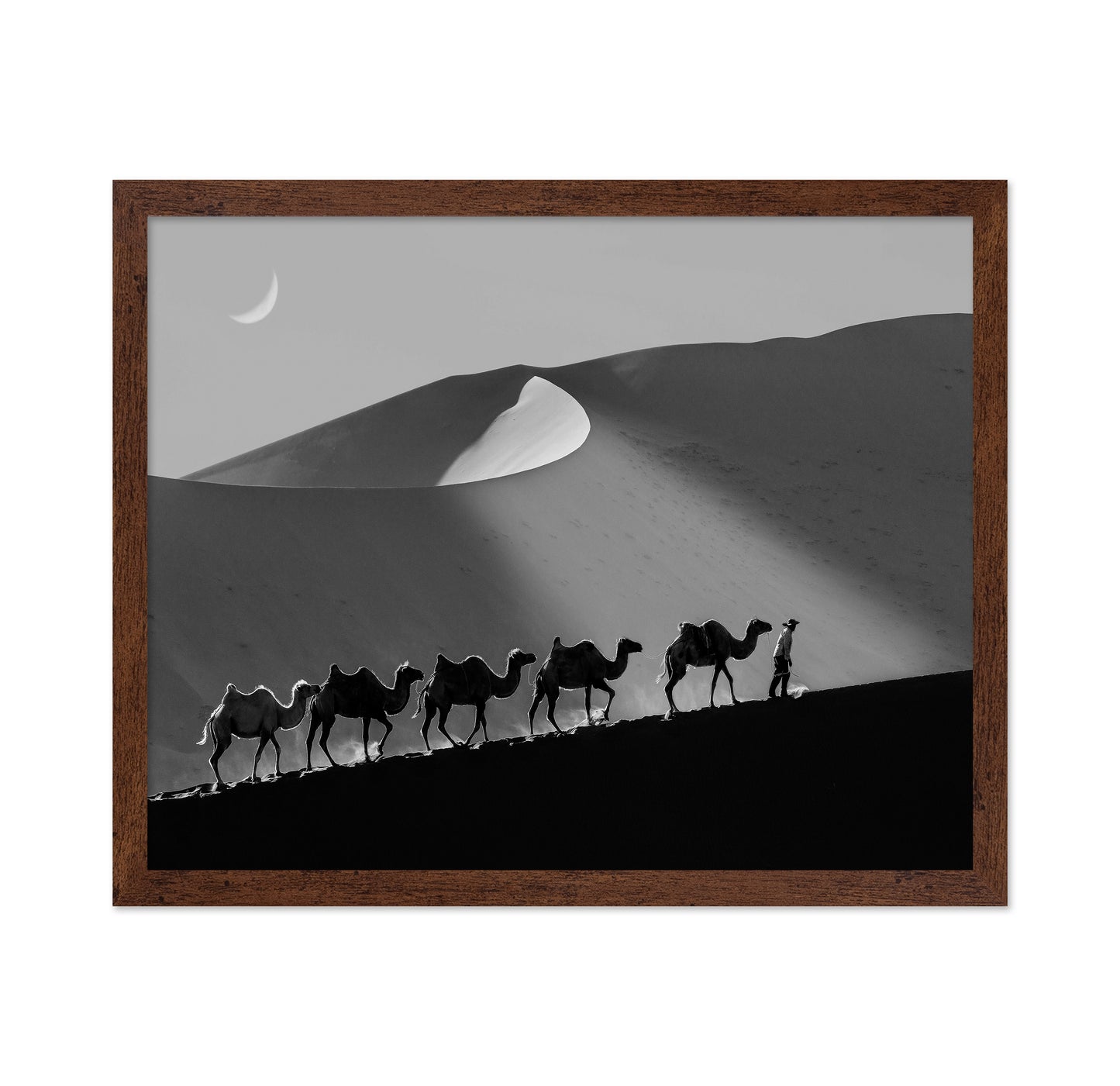 Desert Caravan Line