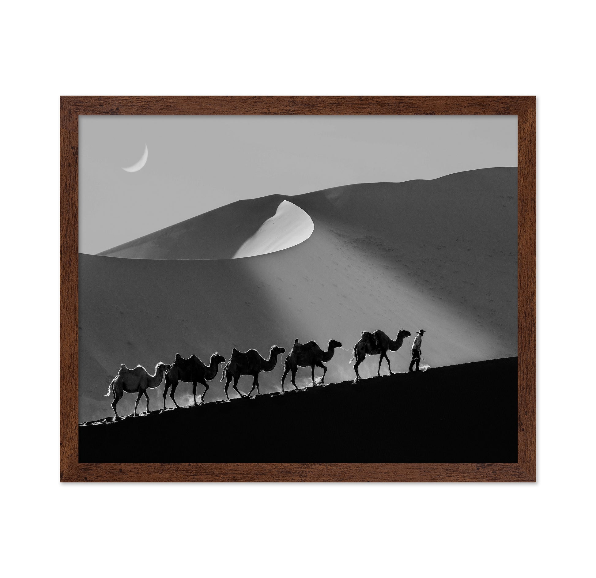 Desert Caravan Line