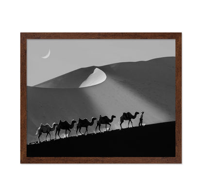Desert Caravan Line