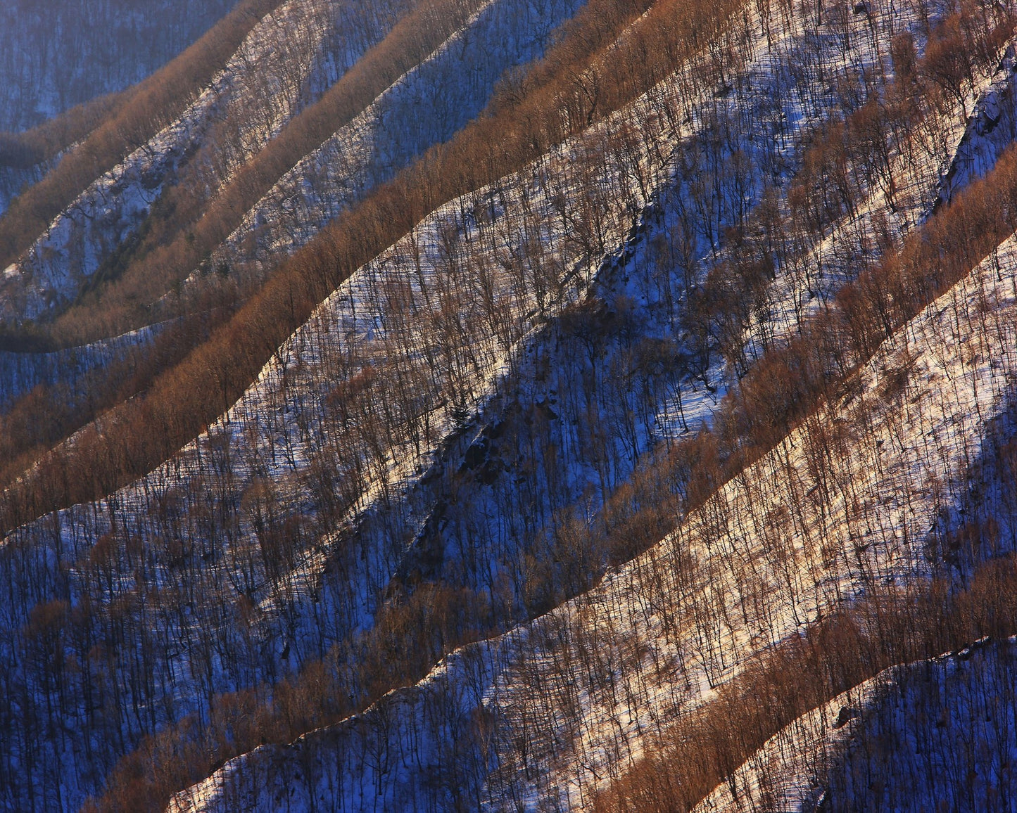 Snow Ridge Patterns