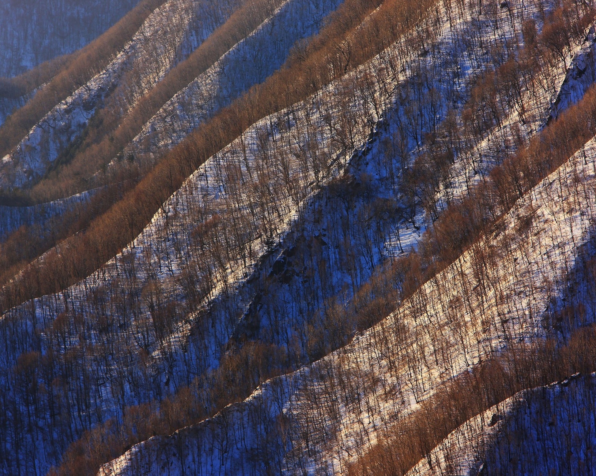 Snow Ridge Patterns