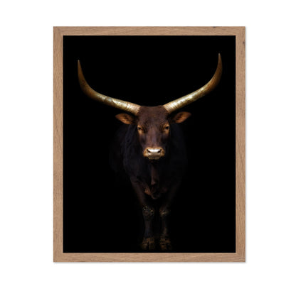Longhorn Bull Portrait