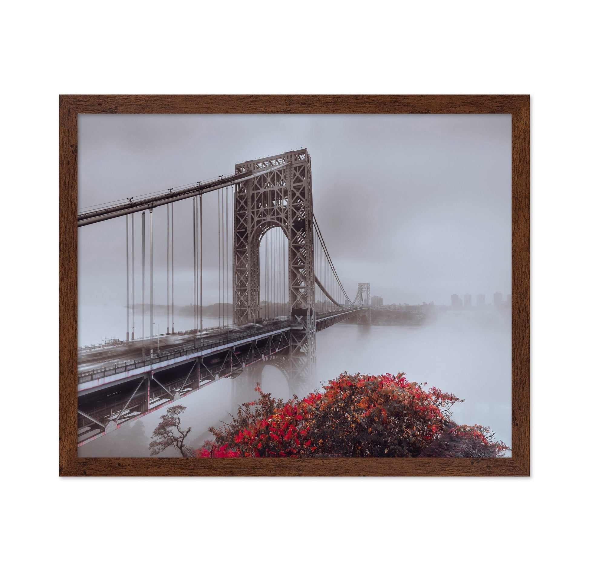 Foggy Bridge View