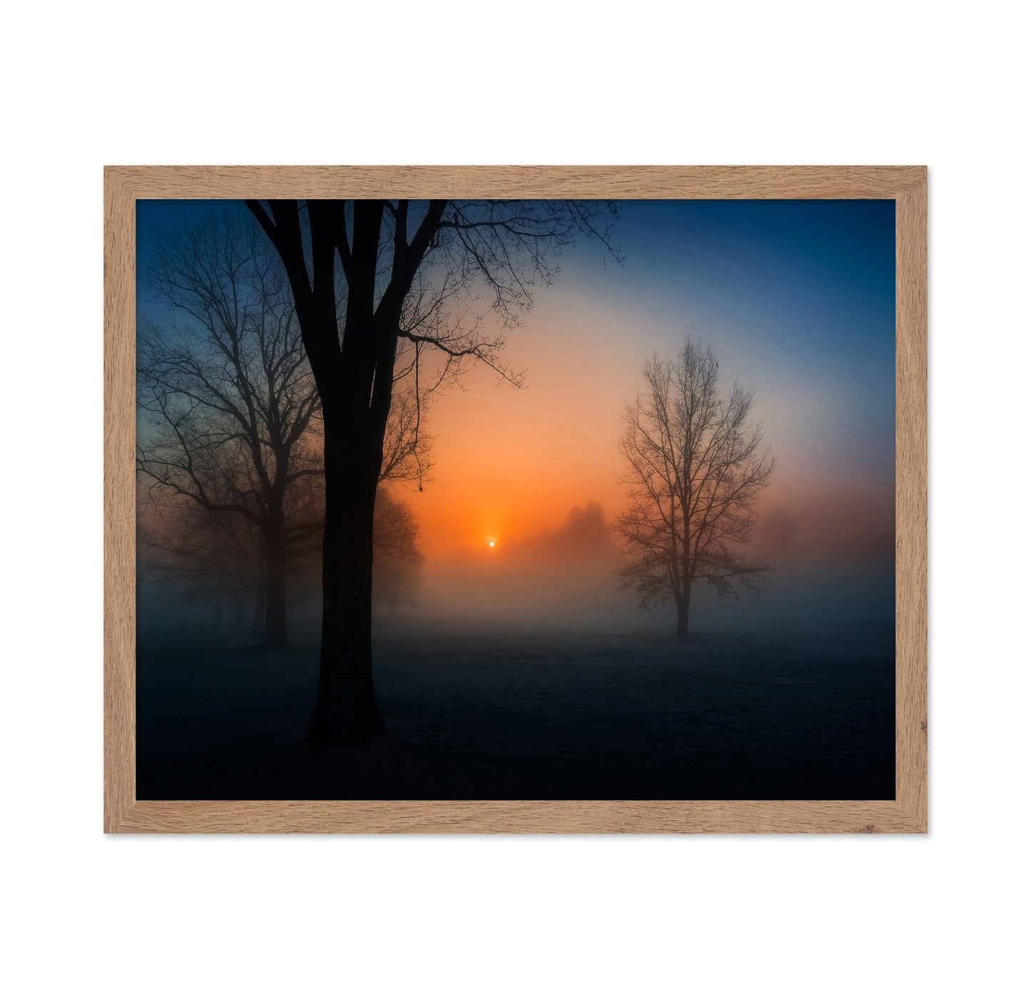 Foggy Sunrise Trees