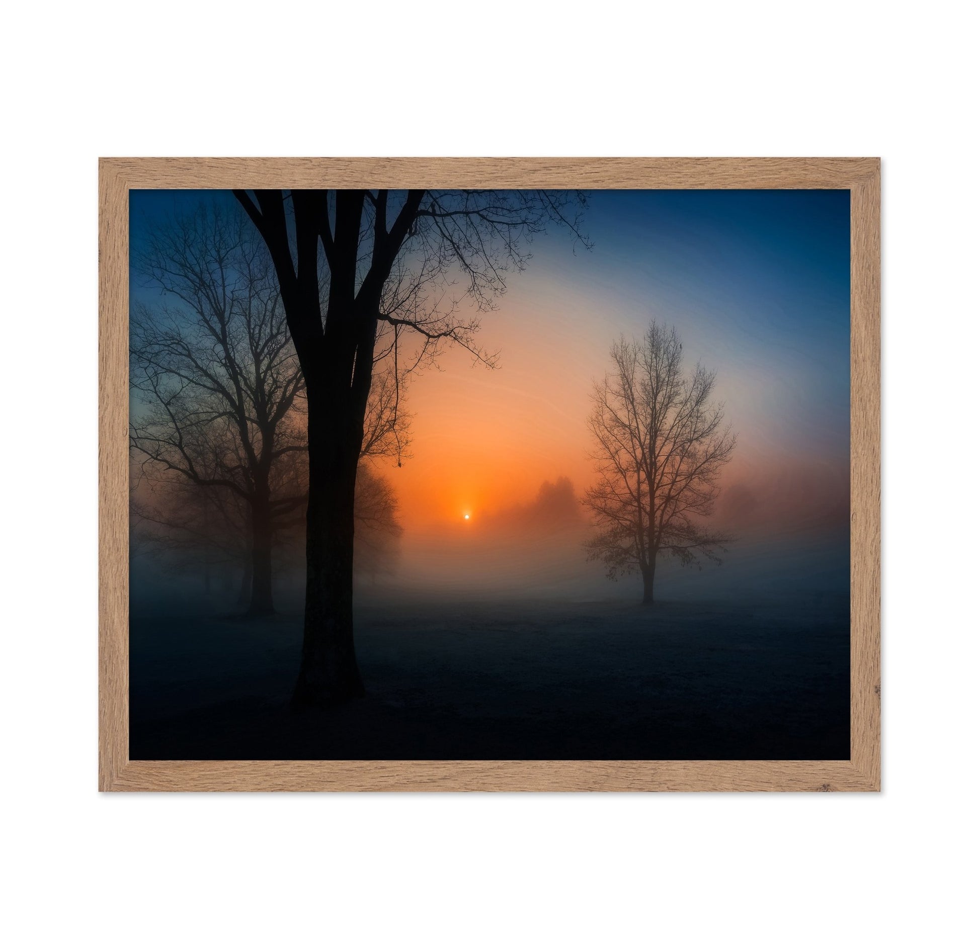 Foggy Sunrise Trees
