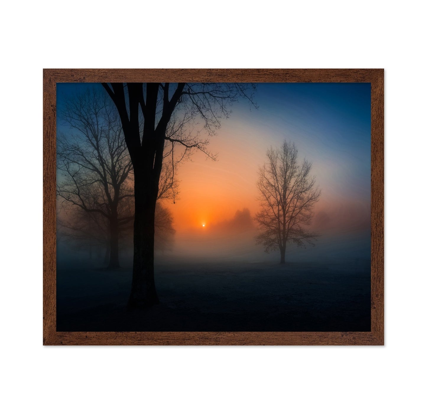 Foggy Sunrise Trees