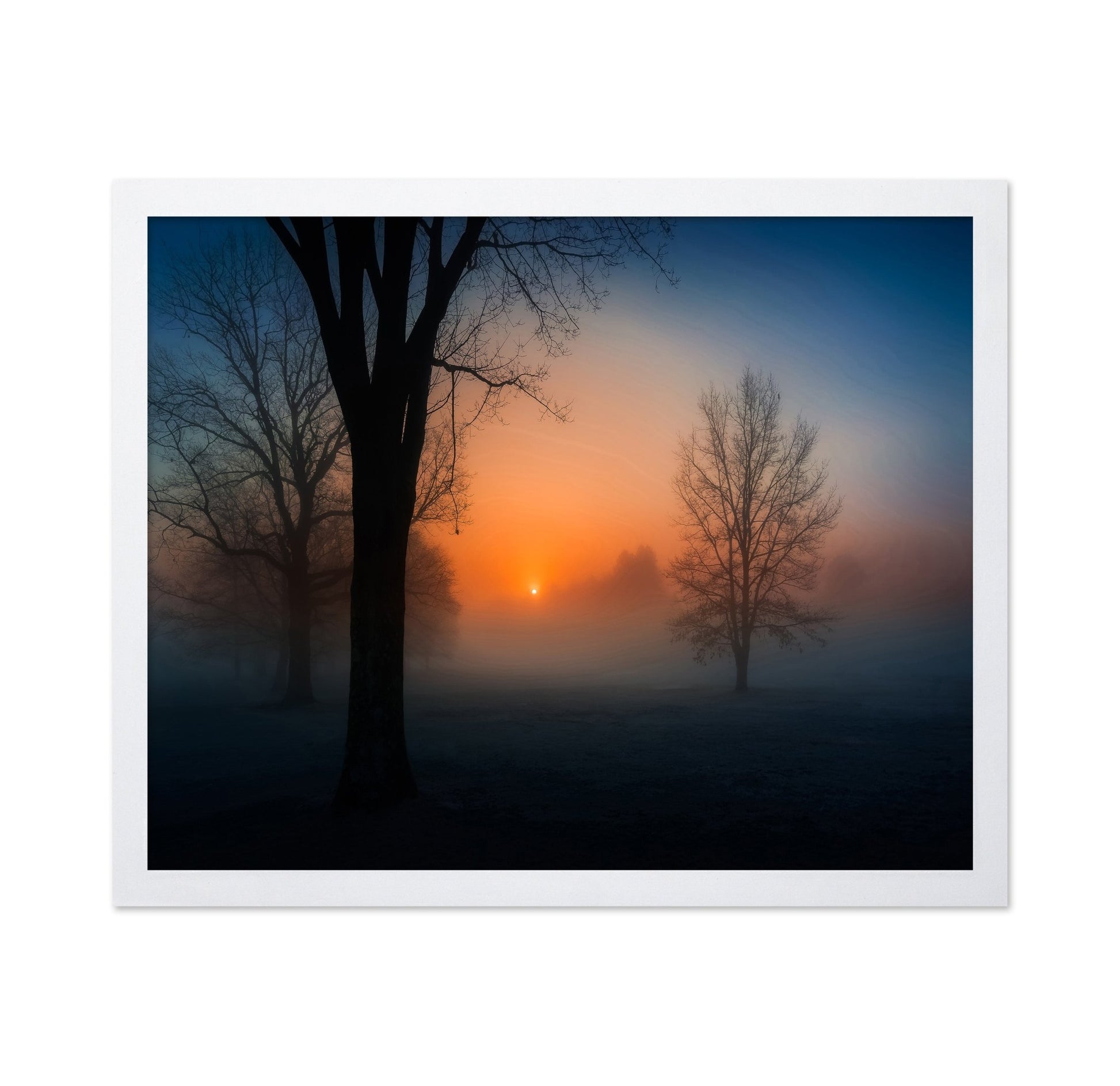 Foggy Sunrise Trees