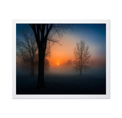 Foggy Sunrise Trees