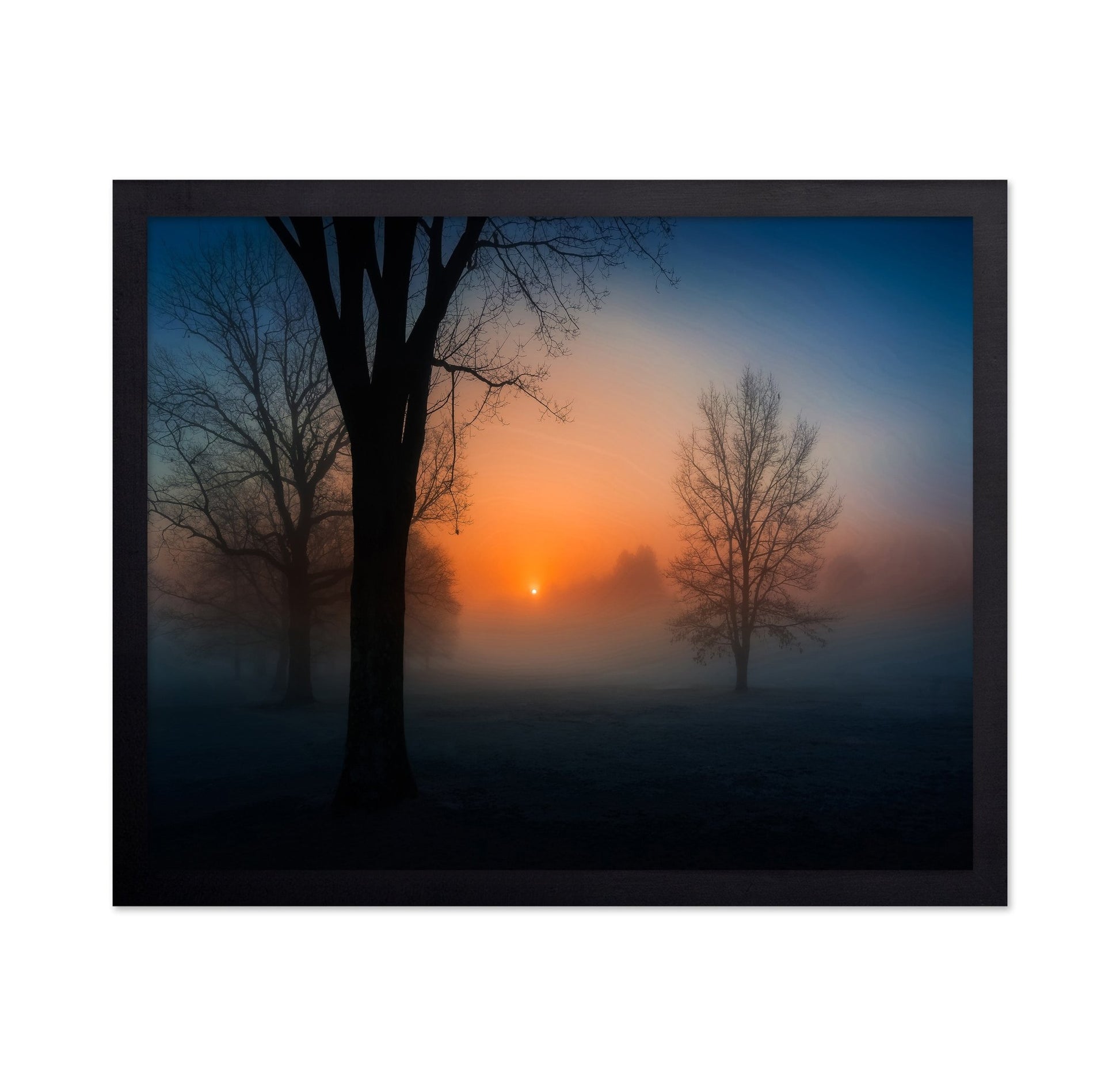 Foggy Sunrise Trees