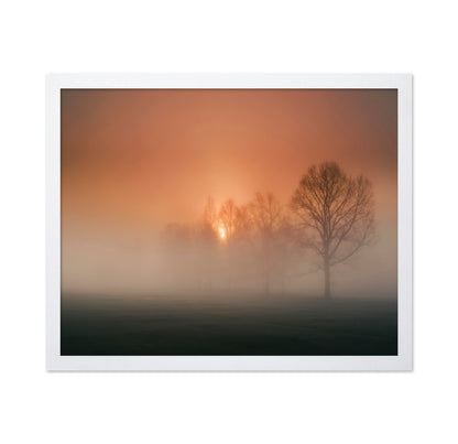 Foggy Sunset Trees