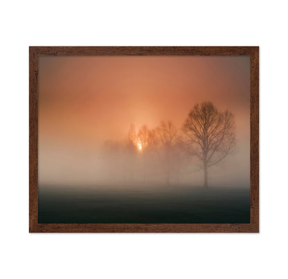 Foggy Sunset Trees