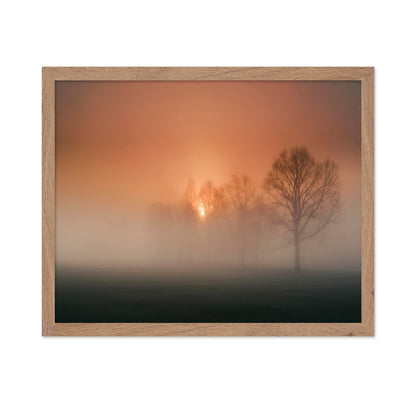 Foggy Sunset Trees