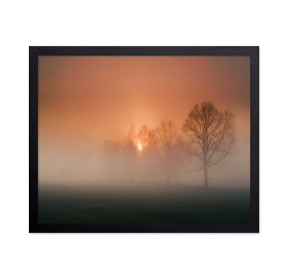 Foggy Sunset Trees