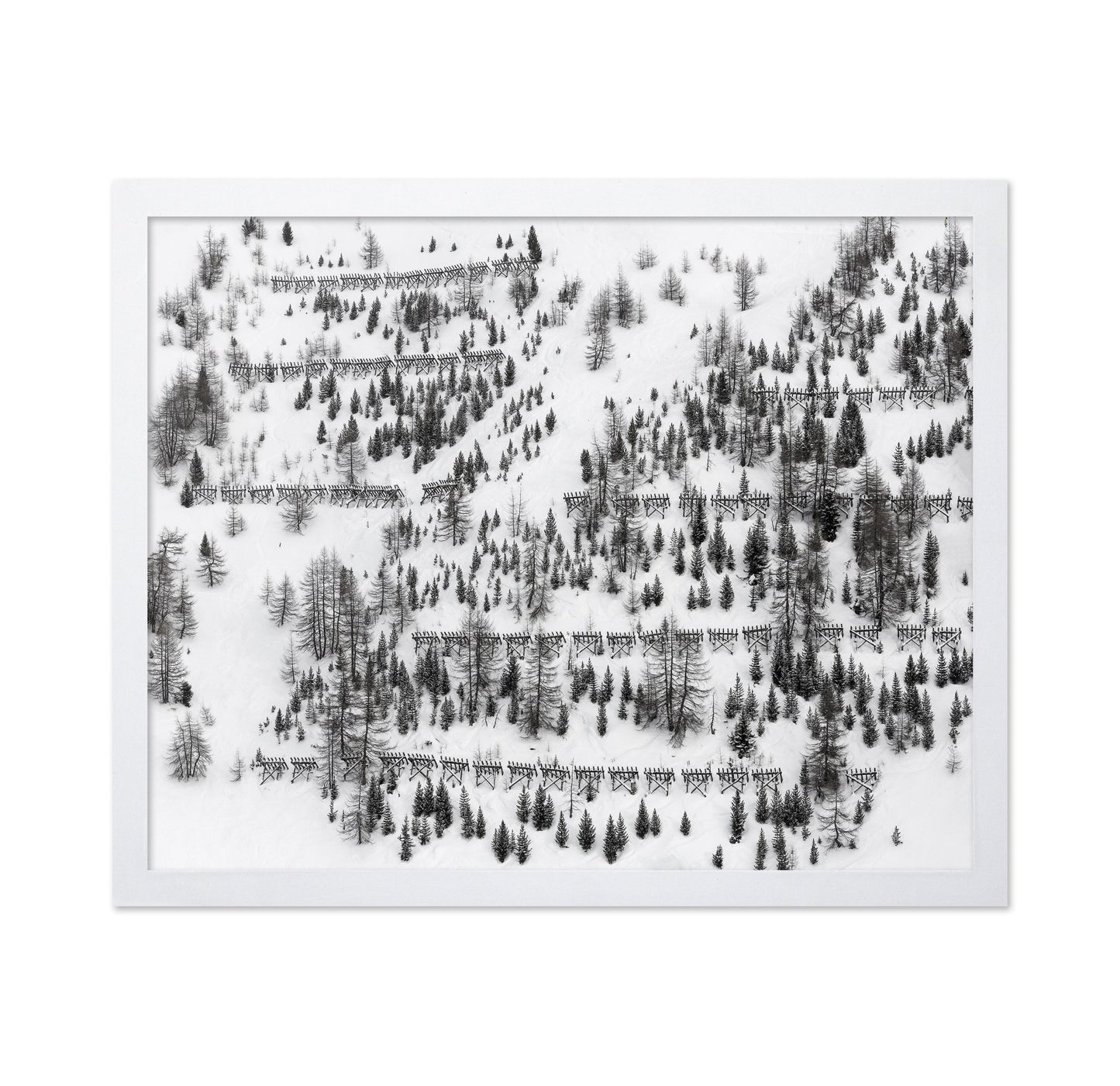 Snow Forest Patterns