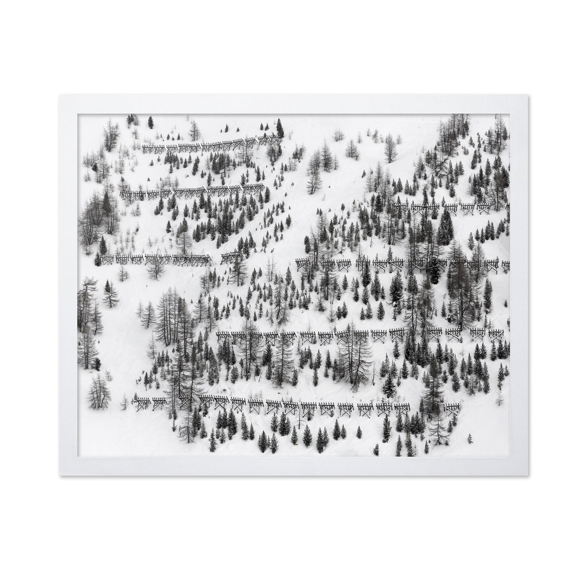 Snow Forest Patterns