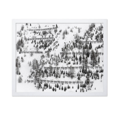 Snow Forest Patterns