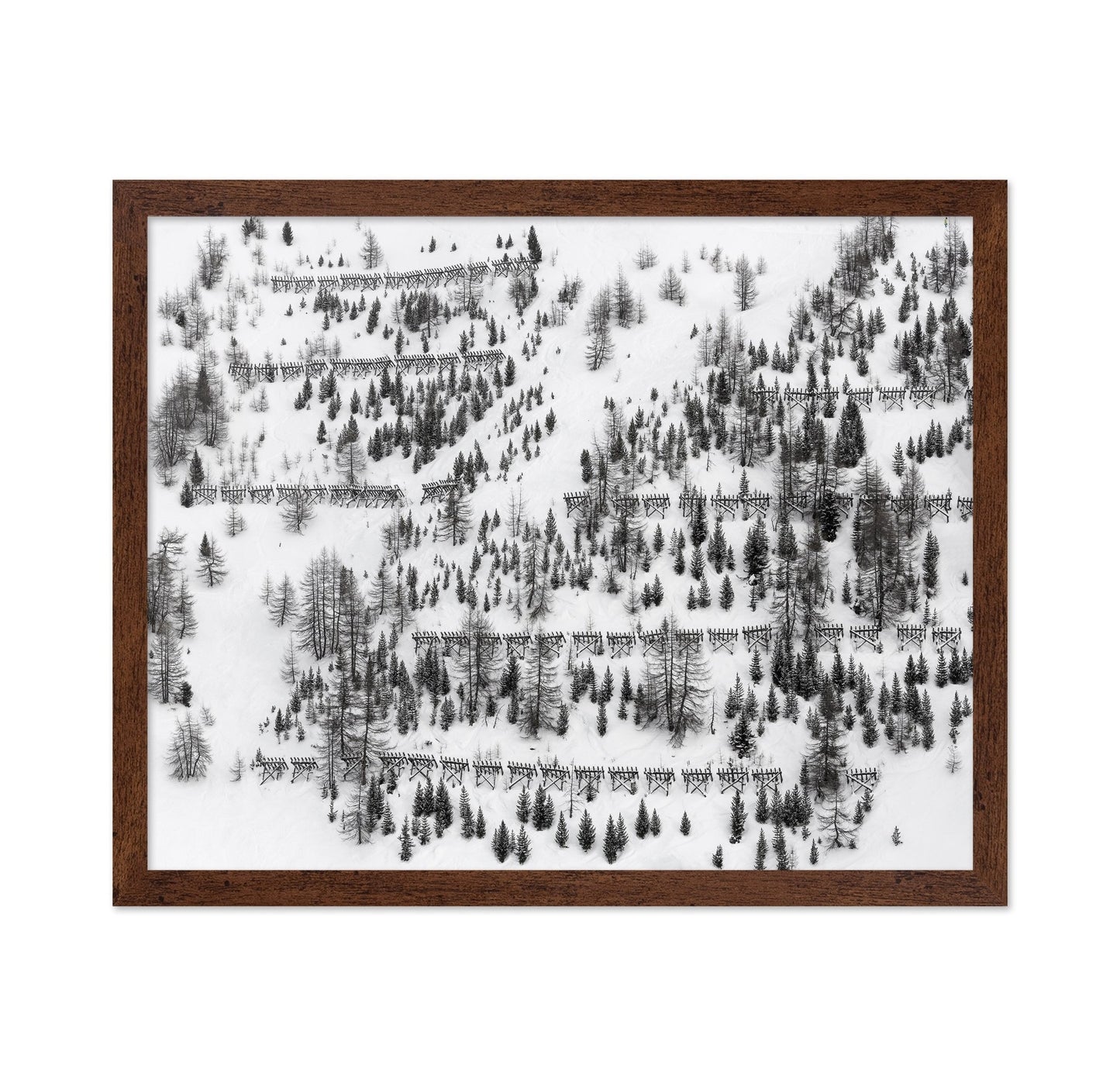 Snow Forest Patterns