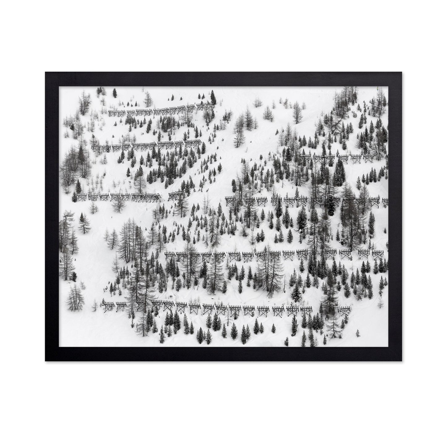 Snow Forest Patterns