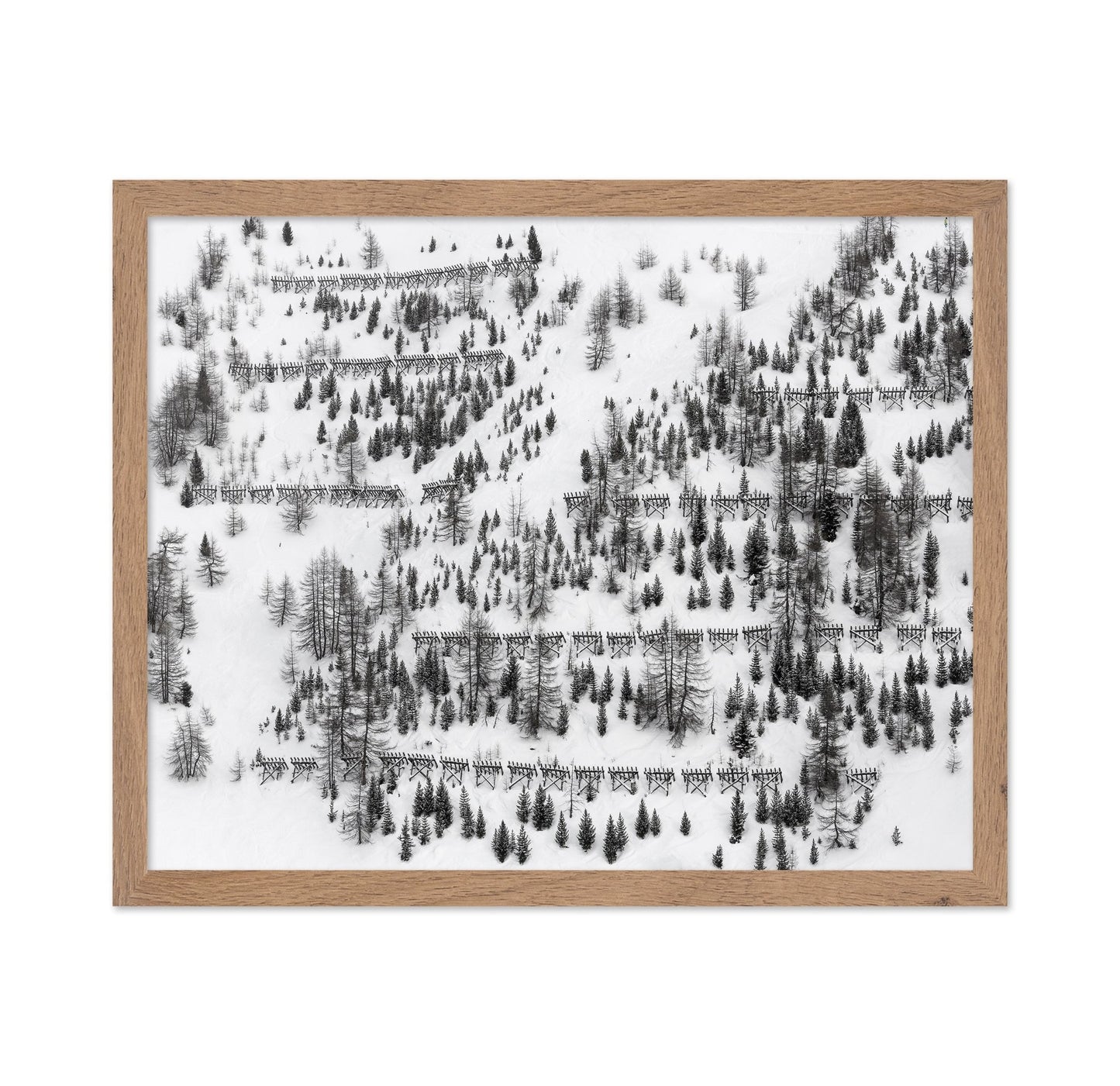Snow Forest Patterns