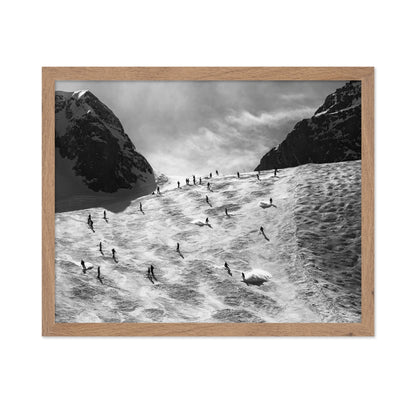Skiers On Snow Slope