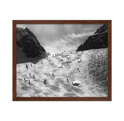 Skiers On Snow Slope