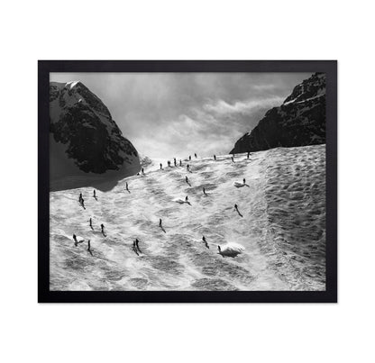 Skiers On Snow Slope