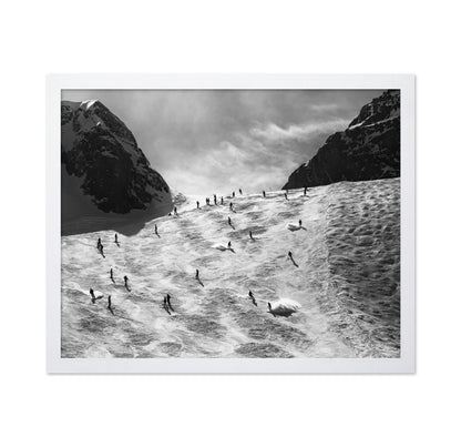 Skiers On Snow Slope