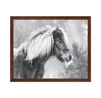 Snowy Horse Portrait