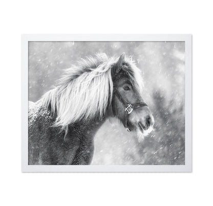 Snowy Horse Portrait