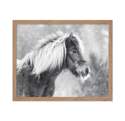 Snowy Horse Portrait