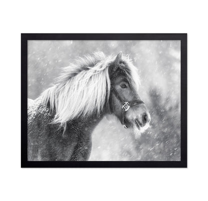 Snowy Horse Portrait
