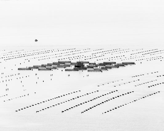 Calm Sea Fish Farms