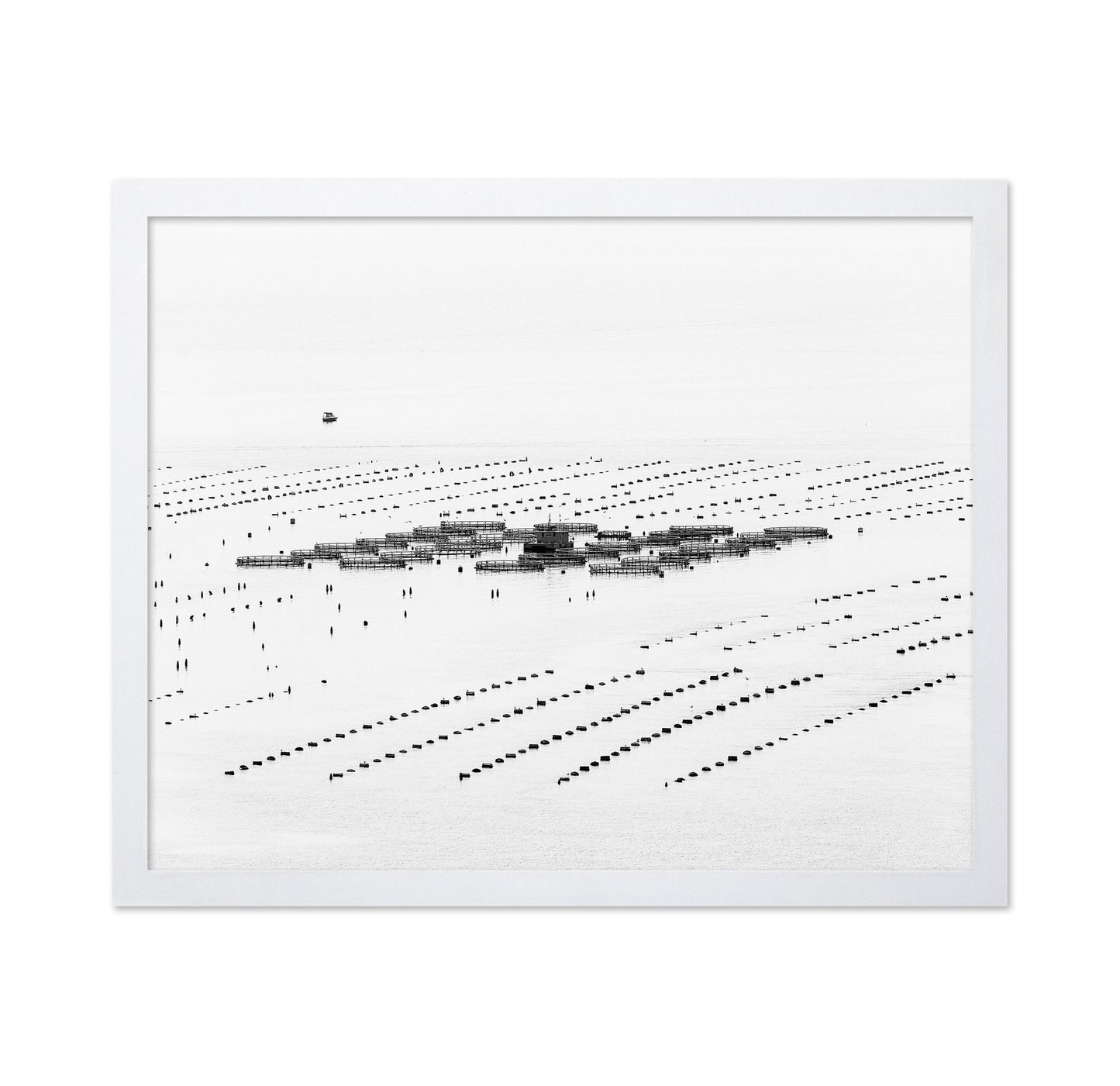 Calm Sea Fish Farms