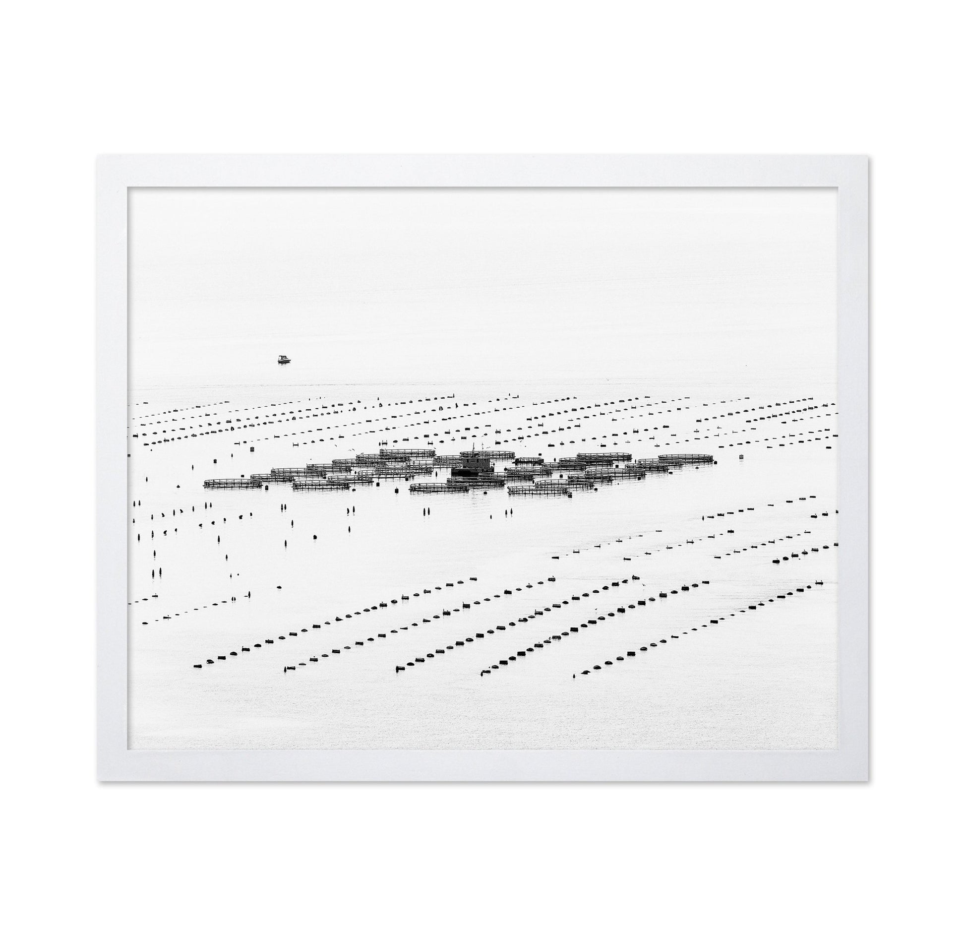 Calm Sea Fish Farms
