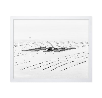 Calm Sea Fish Farms