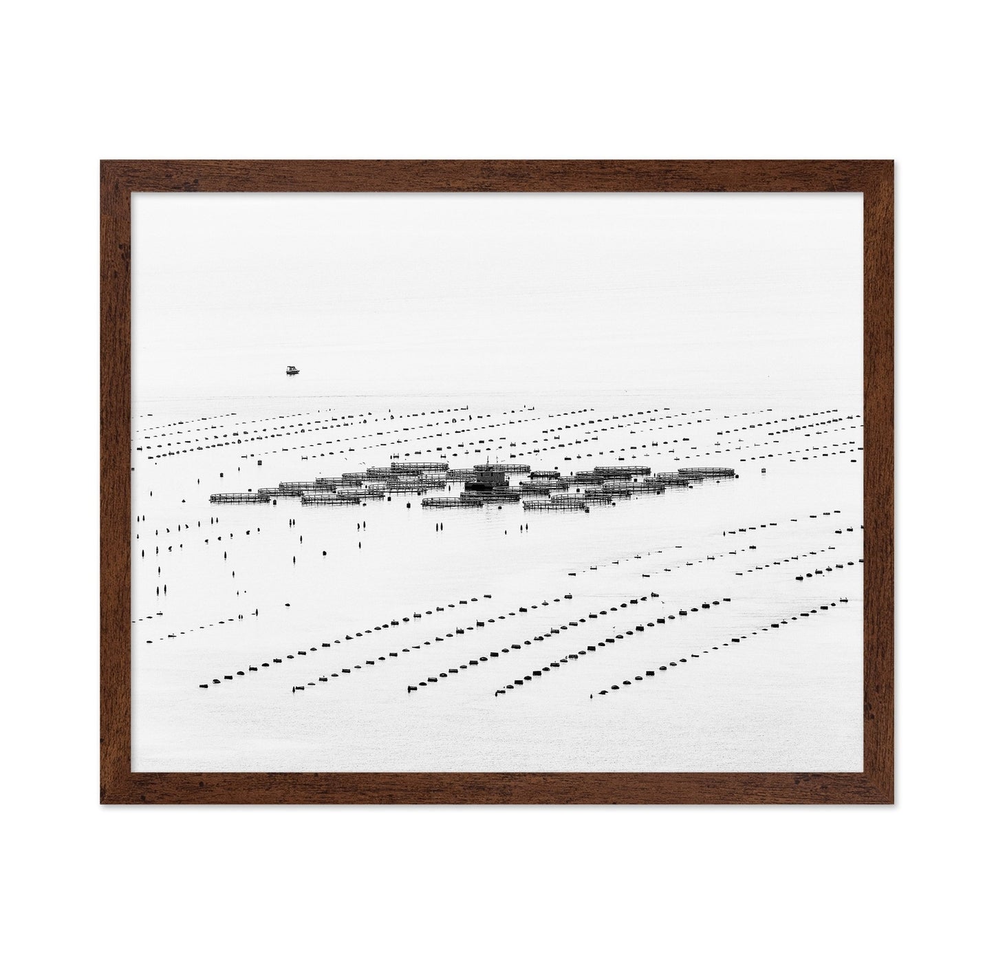 Calm Sea Fish Farms
