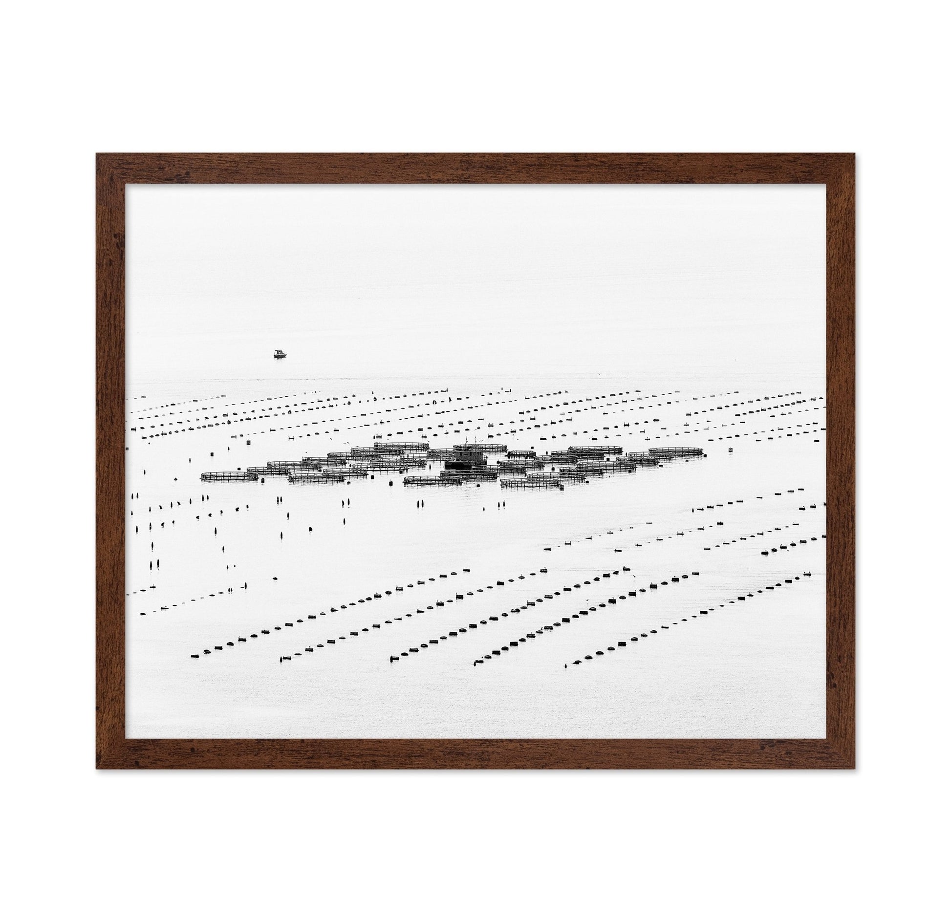 Calm Sea Fish Farms