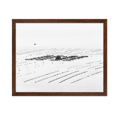 Calm Sea Fish Farms