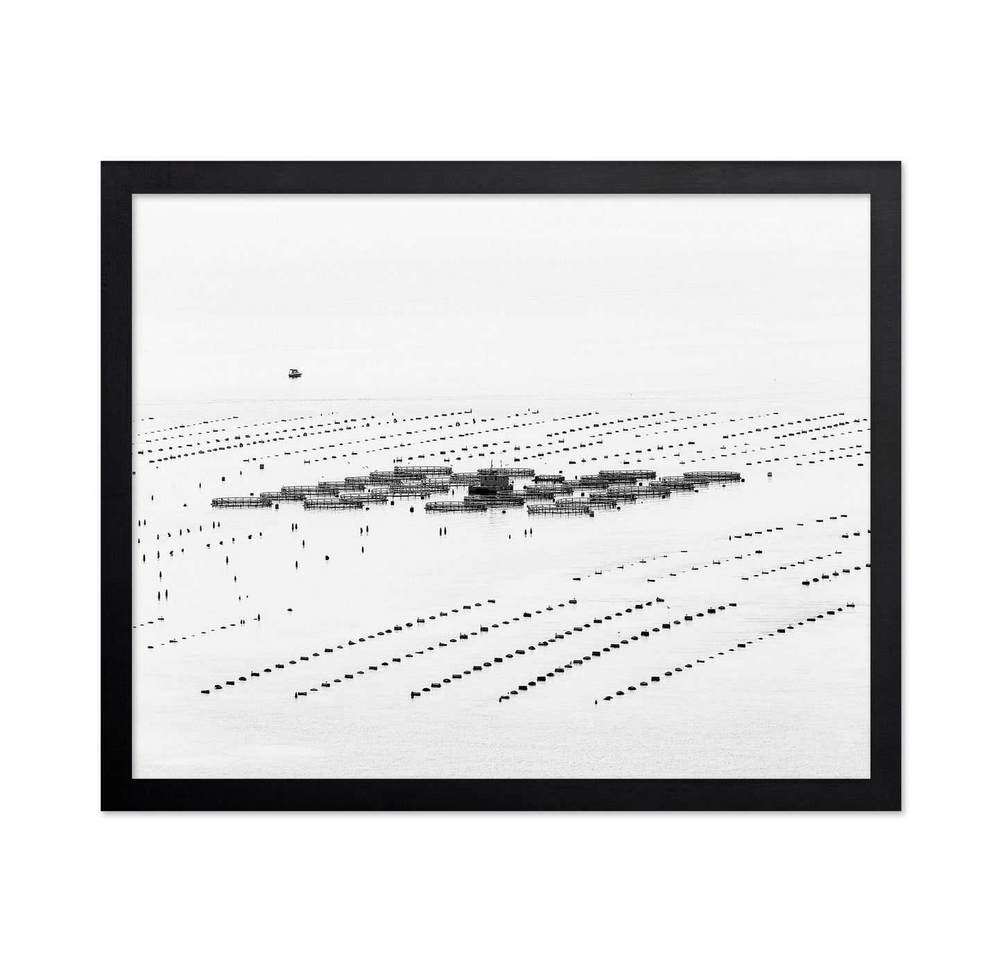 Calm Sea Fish Farms