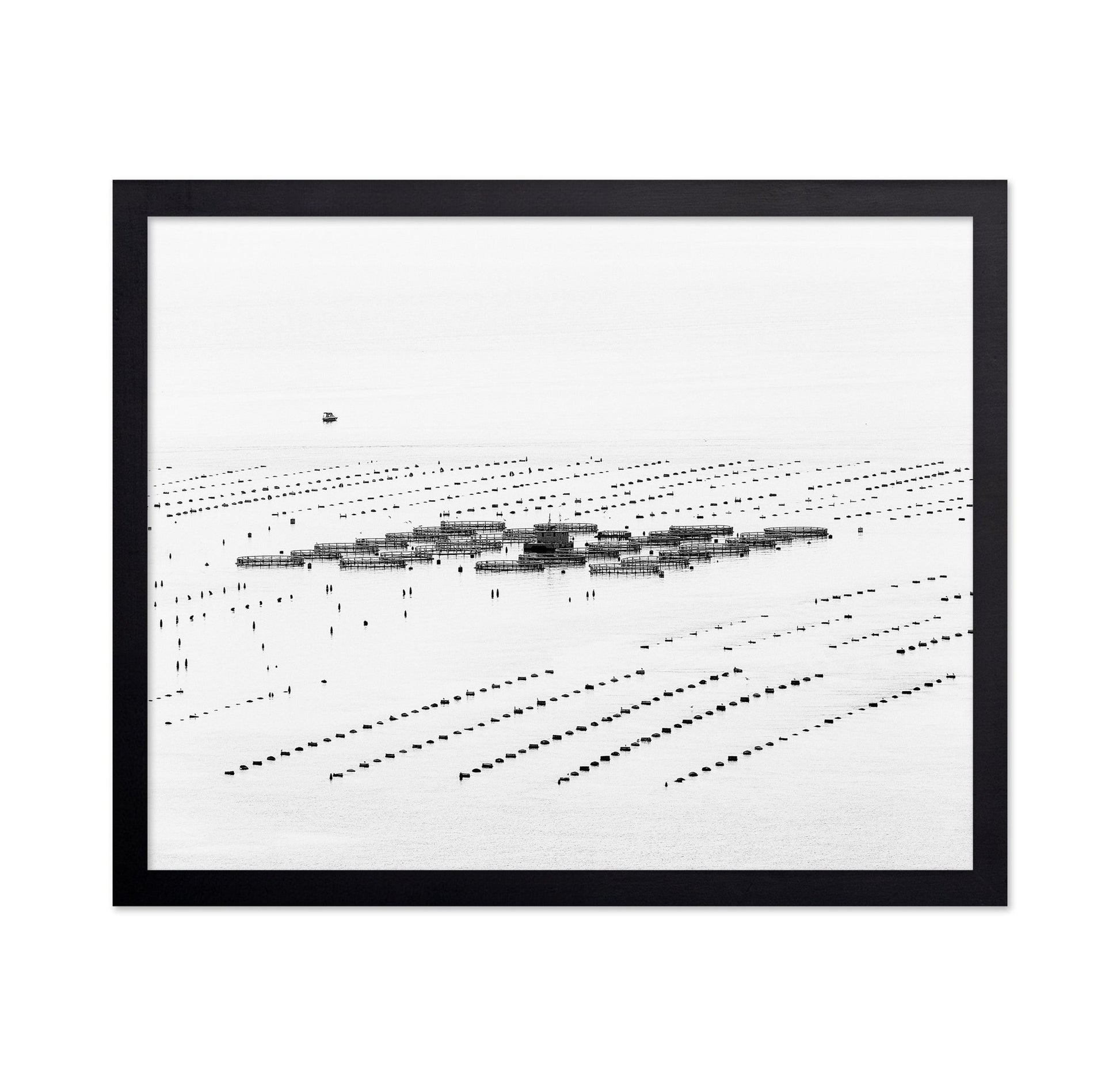 Calm Sea Fish Farms