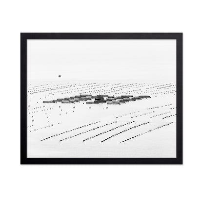 Calm Sea Fish Farms