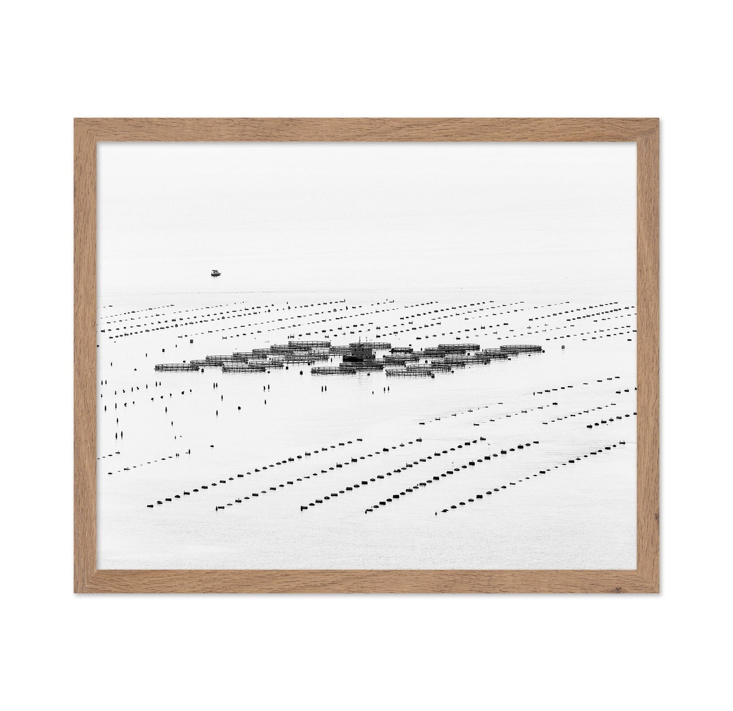 Calm Sea Fish Farms