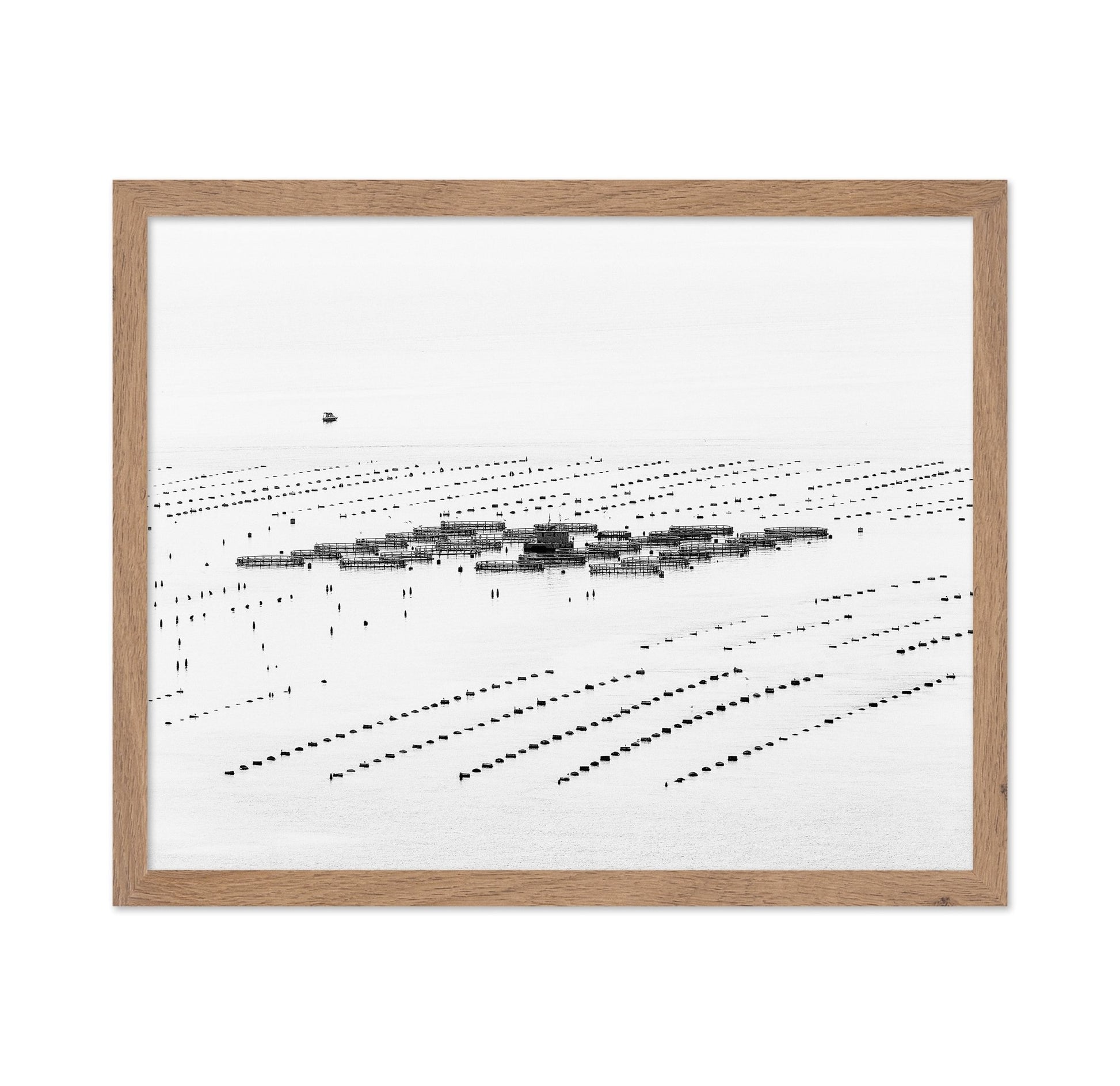 Calm Sea Fish Farms