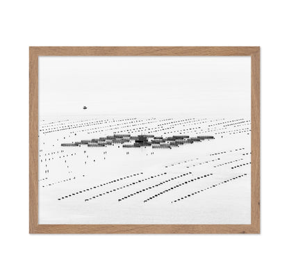 Calm Sea Fish Farms